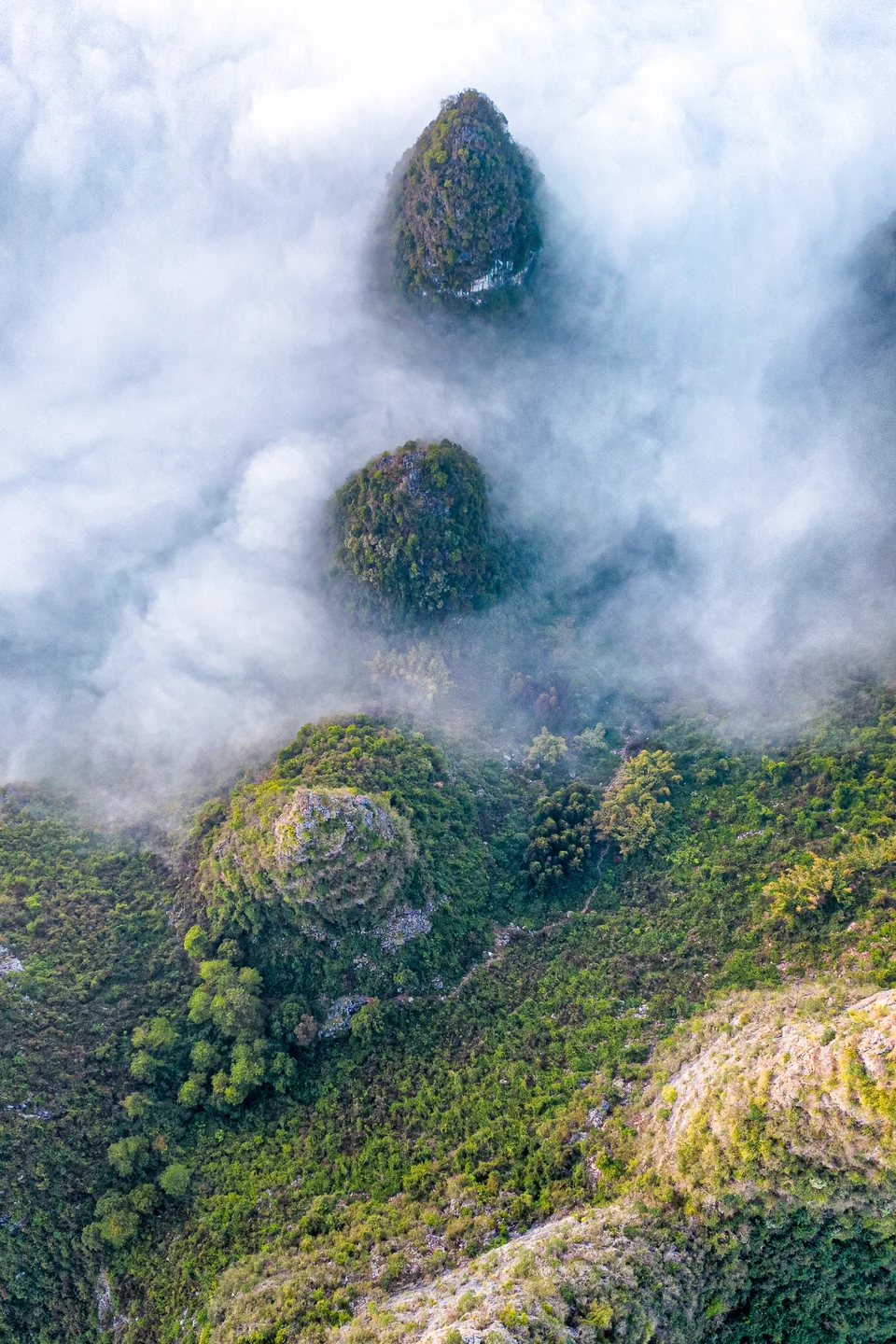 Green karst peaks rise through a sea of low white clouds.