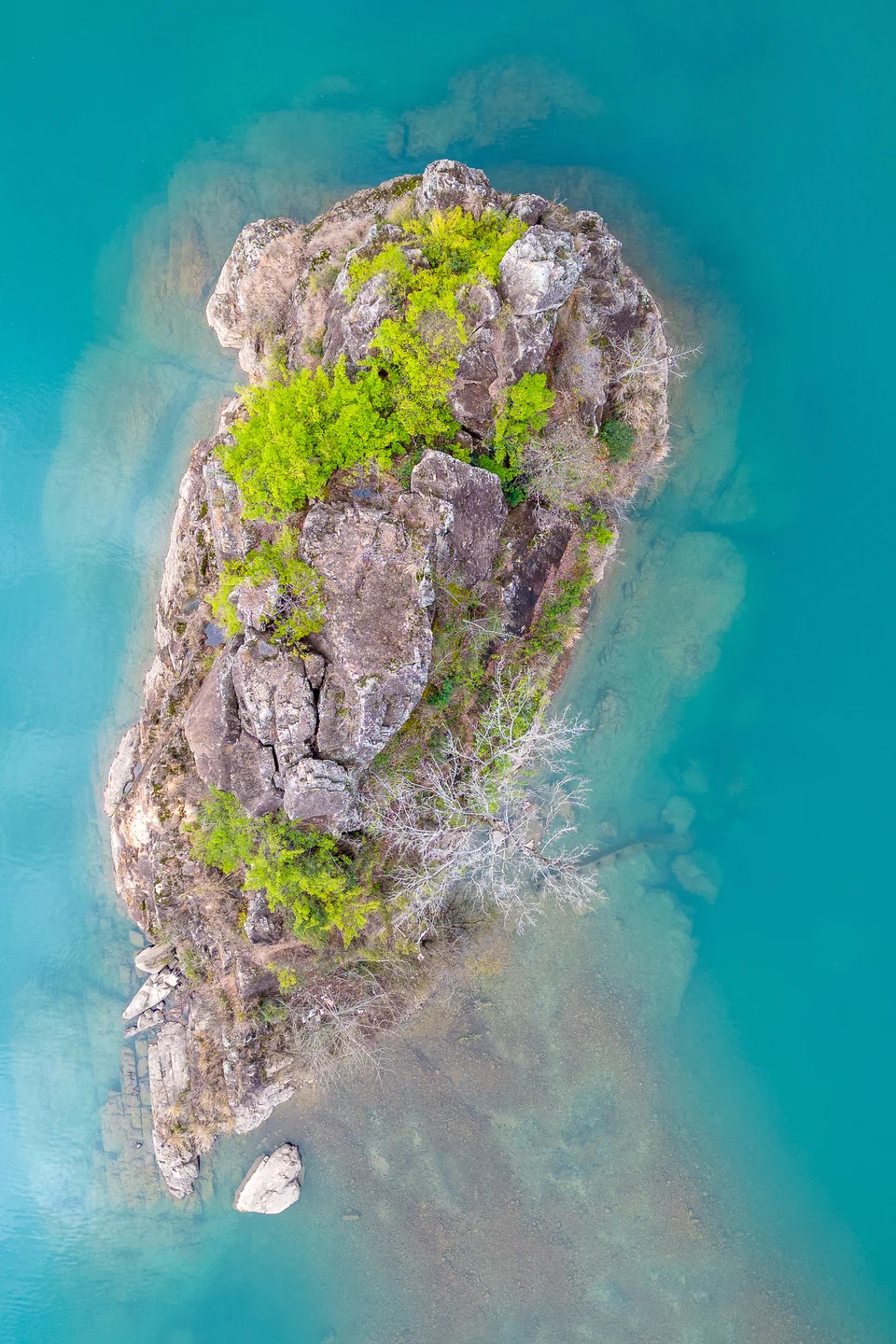 An isolated rocky islet with green trees rises from turquoise water, seen from above.